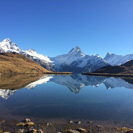 Chalet Verbrunnenhaus Grindelwald Διαμέρισμα Εξωτερικό φωτογραφία