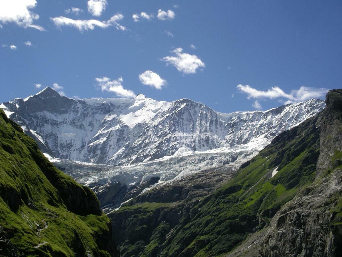 Chalet Verbrunnenhaus Grindelwald Διαμέρισμα Εξωτερικό φωτογραφία