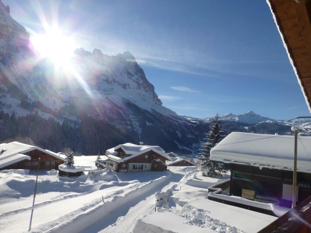 Chalet Verbrunnenhaus Grindelwald Διαμέρισμα Εξωτερικό φωτογραφία