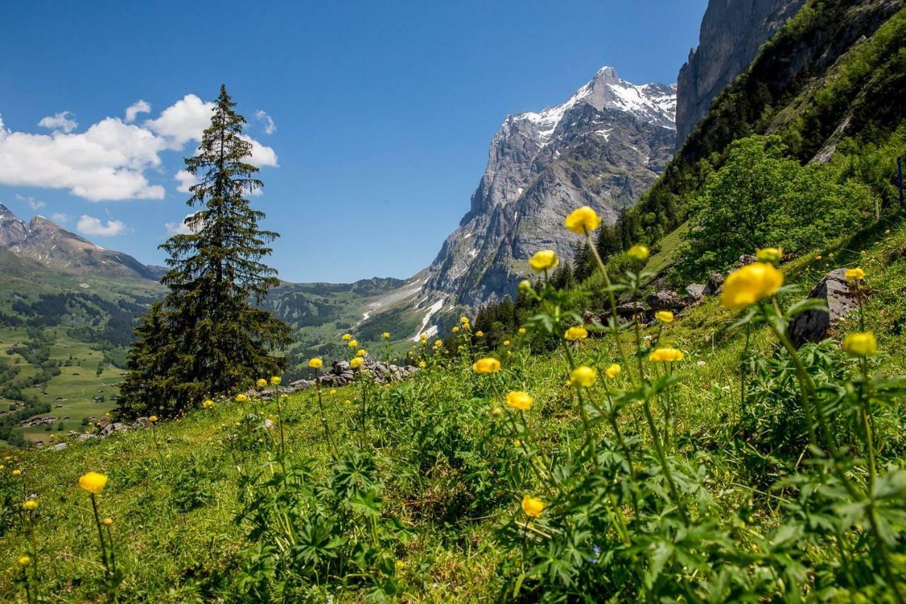 Chalet Verbrunnenhaus Grindelwald Διαμέρισμα Εξωτερικό φωτογραφία