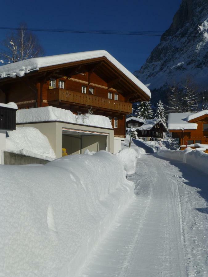 Chalet Verbrunnenhaus Grindelwald Διαμέρισμα Εξωτερικό φωτογραφία