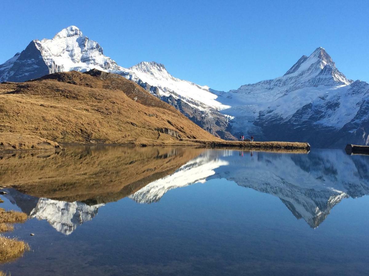 Chalet Verbrunnenhaus Grindelwald Διαμέρισμα Εξωτερικό φωτογραφία